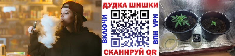 Купить закладку Каннабис  Alpha-PVP  ГАШИШ  Меф мяу мяу  Красноуральск