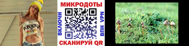 Галлюциногенные грибы прущие грибы  Купить  Красноуральск 
